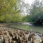 9 Day World Heritage Tour in Bangladesh Dhaka, Sundarbans - Step Back in Time in Sonargaon and Beyond