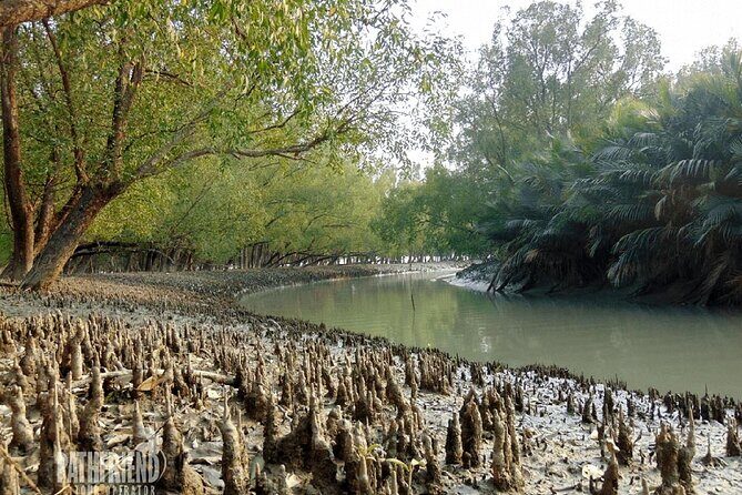 9 Day World Heritage Tour in Bangladesh Dhaka, Sundarbans - Step Back in Time in Sonargaon and Beyond