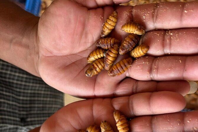 A 2-day trip through the Silk Route between Bangalore & Mysore - The Silk Route Experience in Detail