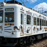 A Classic One-Day Tour from Kansai to Wakayama Prefecture - What You Can Expect on This One-Day Tour