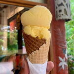 A Day in Paradise at Villa Escudero Coconut Plantation Adventure - What to Expect from the Itinerary