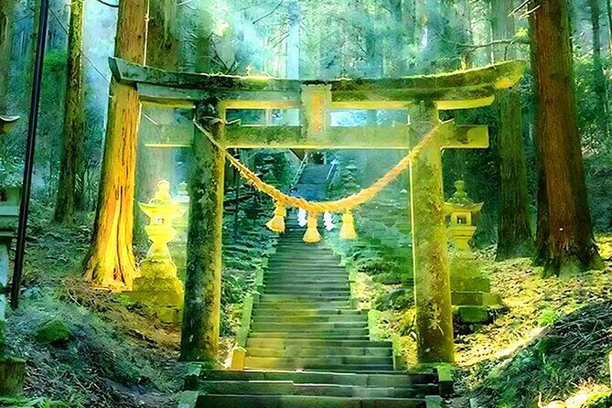 A Day Trip to Mount Aso from Fukuoka - Analyzing the Value and Experience