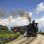 A Full Day Tour Of Darjeeling - Who Should Consider This Tour?