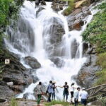 A full day trip From Nha Trang To Da Lat Or Vice Versa - From Da Lat to Nha Trang: What to Expect