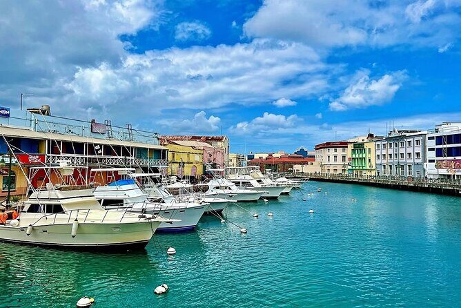 A Good Bajan Day - Bestselling Barbados Highlights Tour - Why This Tour Is Worth Considering