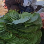 A Guided Cultural Immersion:Meenakshi Temples Night Ceremony - The Value of This Tour Experience