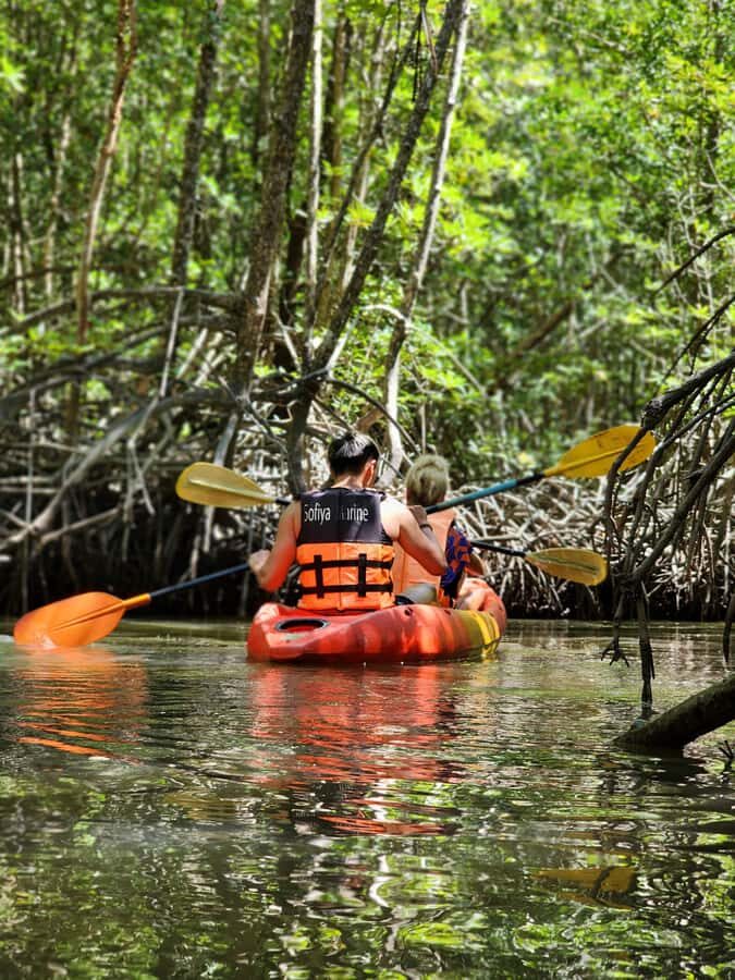 A Jungle-to-Sea Kayaking & Trekking Adventure in Phuket - Detailed Review of the Jungle-to-Sea Experience