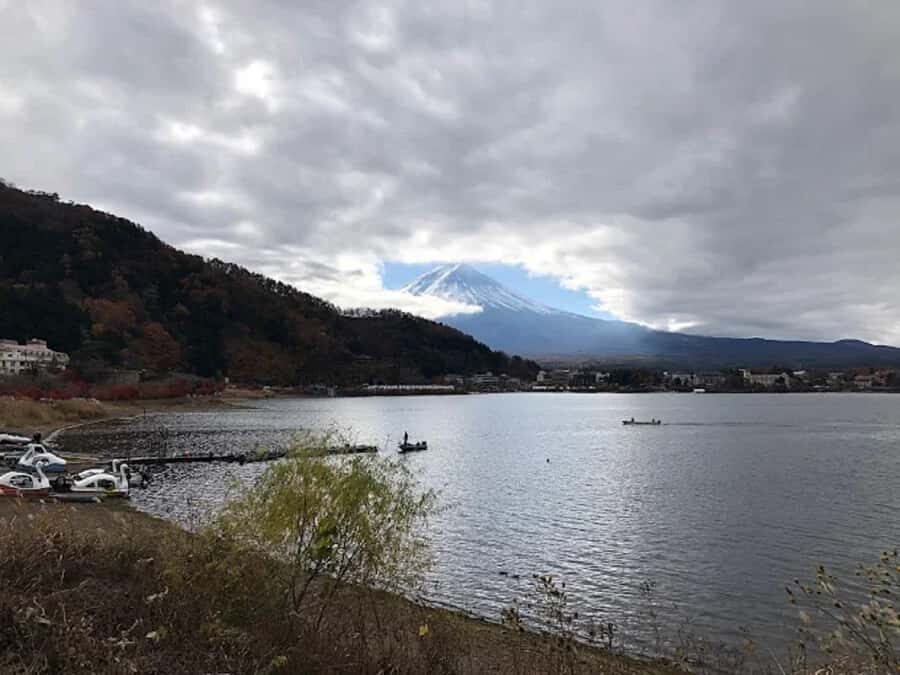 A Nature Escape to Fuji and Lake Kawaguchiko Guided Tour - Transportation, Group Size, and Practical Details