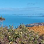 A Private Day in the Deep South in 4x4 Adventure mode - Authentic Experience and Practical Insights