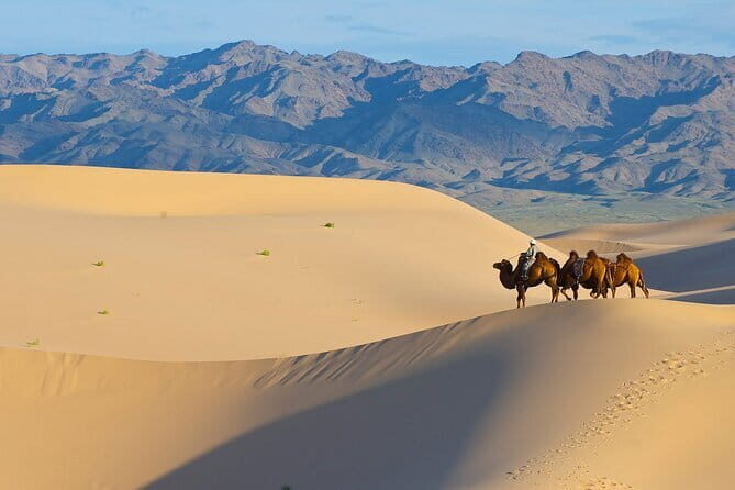 A Private Tour to Central Mongolia - The Value of This Tour