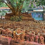 A Spiritual Day Trip to Vidurashwatha, Lepakshi & Adiyogi Statue - The Practicalities: What’s Included and What to Keep in Mind