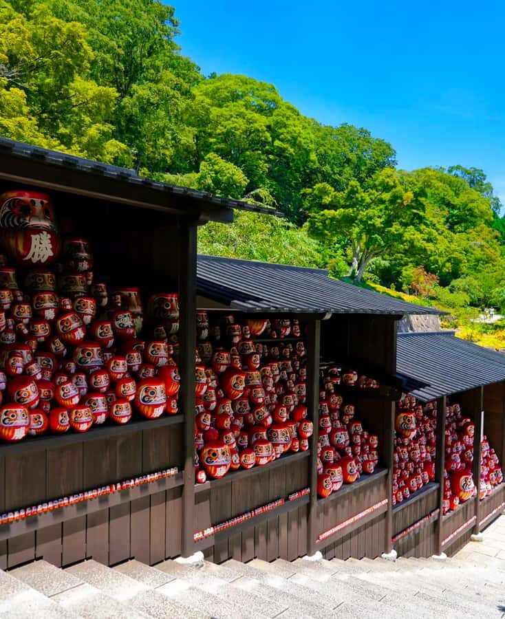 A Thousand Years in One Day: Kyoto & Nara Panoramic Tour - Why This Tour Offers Great Value