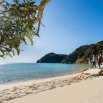 Abel Tasman National Park: Helicopter Flight with landing - The Experience in Detail