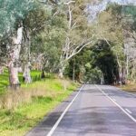 Adelaide City Highlights Full-Day Tour - Why This Tour Stands Out