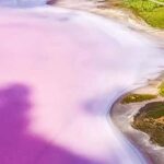 Adelaide Highlights: Wine, Whispering Wall & Pink Lake Tour - Who Will Love This Tour?