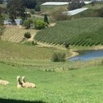 Adelaide Hills & Hahndorf Private Wine and Scenic Tour - Full Day - Who Will Love This Tour?