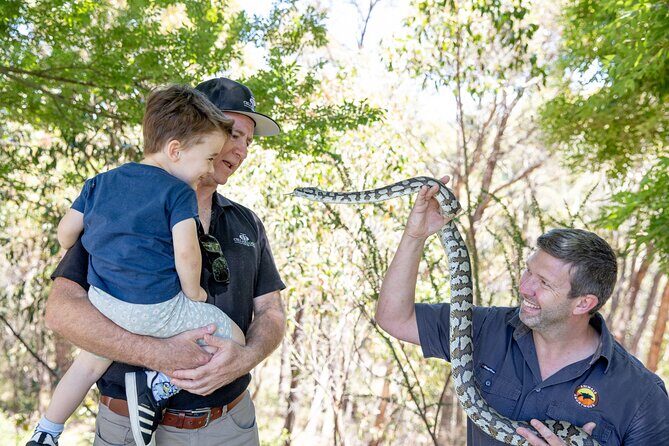 Adelaide Hills Wine & Wildlife Private Tour, inc Hahndorf & lunch - Who Would Love This Tour?