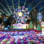 Admission E-Ticket to Gardens by the Bay Singapore - Authentic Visitor Perspectives