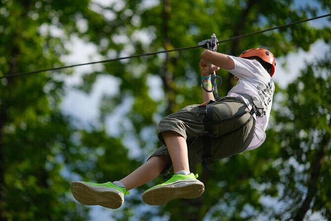 Adrenaline Rush Zip-Lining Adventure in Palo Amargo - Who Will Love This Tour?