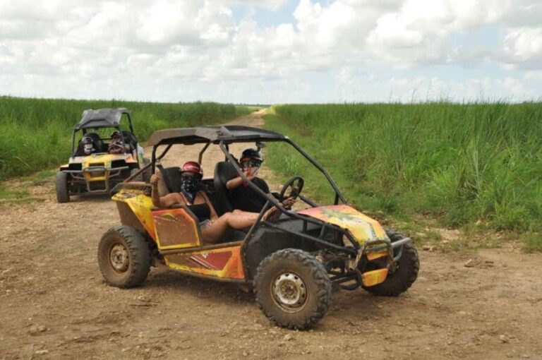 Adventure Bayahibe: Buggies, Cave, Culture in Half a Day - The Practical Side: Logistics, Cost, and Suitability