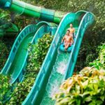 Adventure Cove Waterpark Tickets - Who Is This Experience Best Suited For?