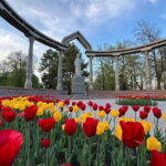 Adventure & Hike in Ala Archa National Park & Bishkek City Tour - What Our Reviewers Say