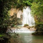Adventure in the bay of samana and waterfall El limon from punta cana - Is This Tour Worth It?
