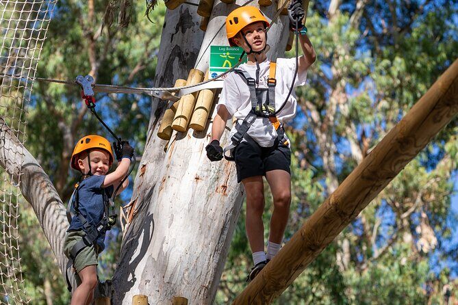 Aerial Fun & Ziplining for Our Littlest Adventurers in Salisbury - An In-Depth Look at the Salisbury TreeClimb Experience