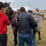 Agalyk Horseback Ride from Samarkand with Local Instructors - Who Is This Tour Best For?