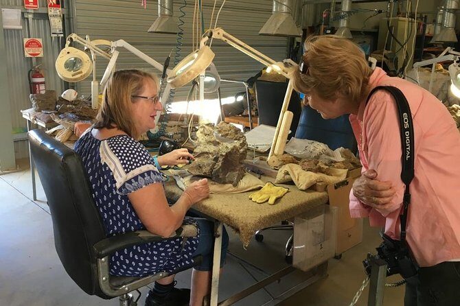 Age of Dinosaurs Museum Half Day Guided Transfer from Winton - The Itinerary in Detail