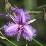 Agnes Water: BushTracks Eco Tour with local guide - Why We Love This Tour