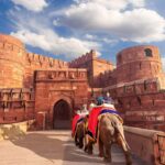 Agra Fort: A Guided Walking Tour of UNESCO World Heritage - Who is This Tour Best For?