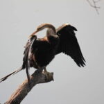 Agra To Bharatpur Same Day Tour with Fatehpur Sikri - Detailed Look at Each Site: Pros and Cons