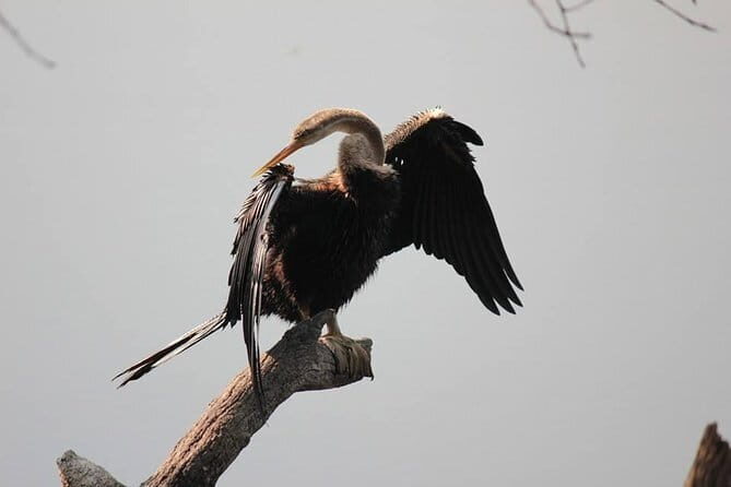 Agra To Bharatpur Same Day Tour with Fatehpur Sikri - Detailed Look at Each Site: Pros and Cons