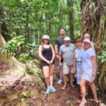 Airlie Waterfalls & Rainforest Bushwalk Eco Adventure - An In-Depth Look at the Tour Experience