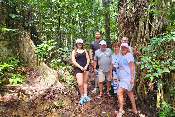 Airlie Waterfalls & Rainforest Bushwalk Eco Adventure - An In-Depth Look at the Tour Experience
