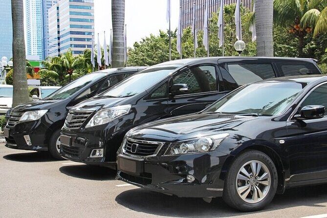 Airport Transfer from Sydney Airport to Hotels - Why Choose This Transfer?