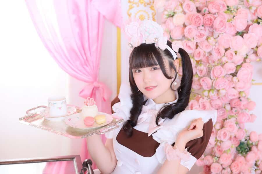 Akihabara: Maid Cafe at-home cafe Priority Entry with a Set - Why This Experience Works for Different Travelers