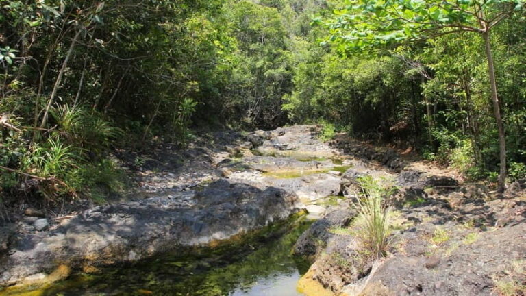 Aklan Jawili Day Tour - Who Will Love This Tour?  