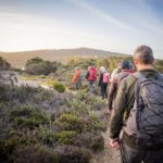 Albany: Lighting the Sound Twilight Hike - What to Expect and Practical Tips