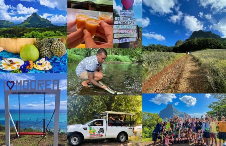 Albert Tours Excursion Safari - Moorea Safari tours&pick up - What to Expect from the Moorea Safari Tour