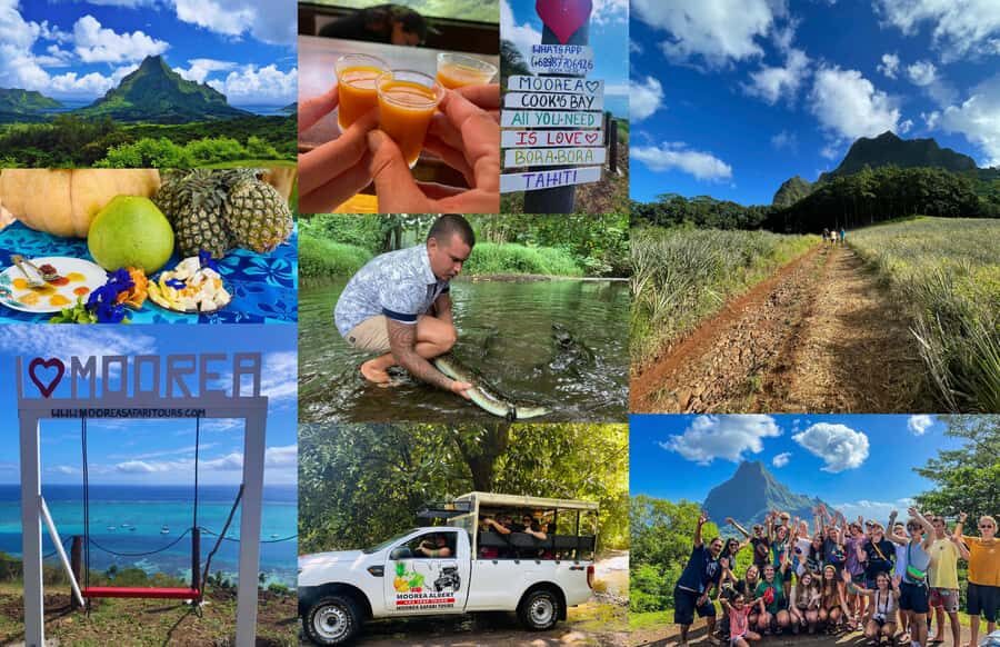 Albert Tours Excursion Safari - Moorea Safari tours&pick up - What to Expect from the Moorea Safari Tour