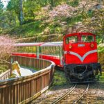 Alishan 2Day Shared Tour from Taipei - Who Will Love This Tour?