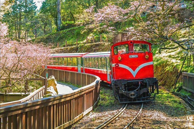 Alishan 2Day Shared Tour from Taipei - Who Will Love This Tour?