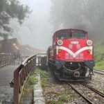 Alishan Day Tour from Chiayi (Incl. Park Entrance) - Who Will Love This Tour?