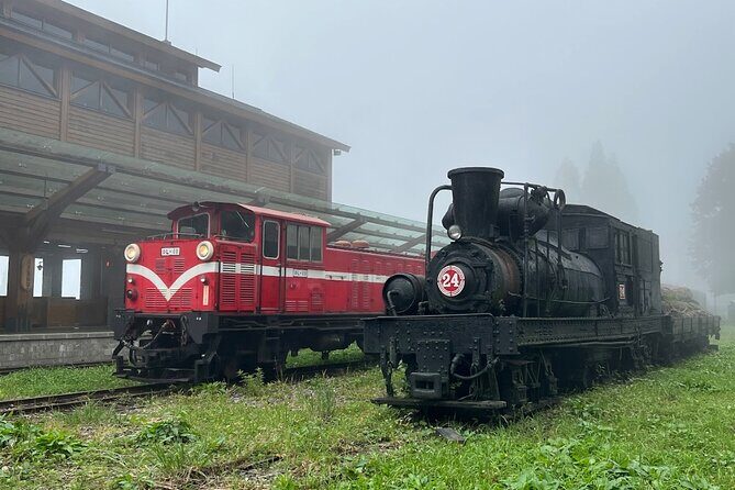 Alishan Day Tour from Kaohsiung (Incl. Park Entrance) - The Heart of the Tour: Alishan National Forest Recreation Area