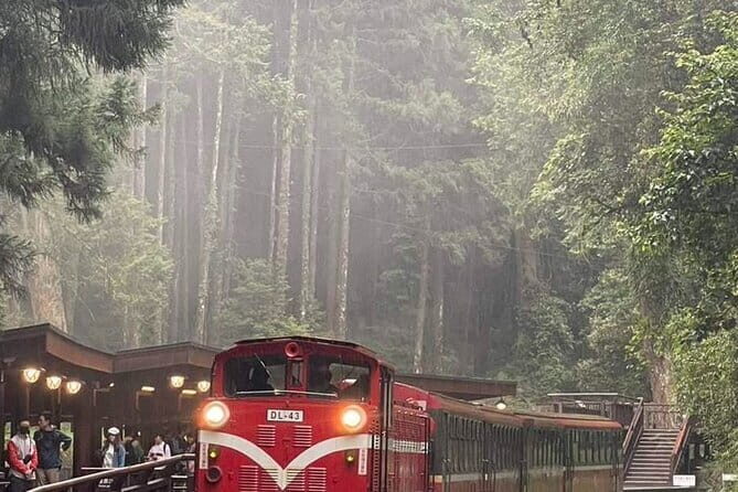 Alishan One Day Tour from Taichung - The Sum Up