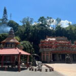 Alishan, Sun Moon Lake, Taichung Three Days Tour from Taipei - What Makes This Tour Stand Out?