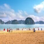 All Inclusive 2 Days 1 Night 5-STAR Cruises in Halong Bay - What Makes This Cruise Stand Out?