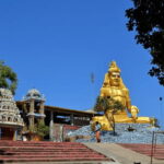 All inclusive Day Tour to Trincomalee from Sigiriya - A Deep Dive into the Trincomalee Day Tour